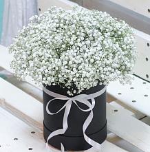 Цветочная композиция из Гипсофила в шляпной коробке #REPLACE_PRED# Верхнее Дуброво
